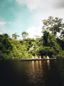 A group enjoys a serene boat ride along a river in a lush tropical jungle under a bright sky.