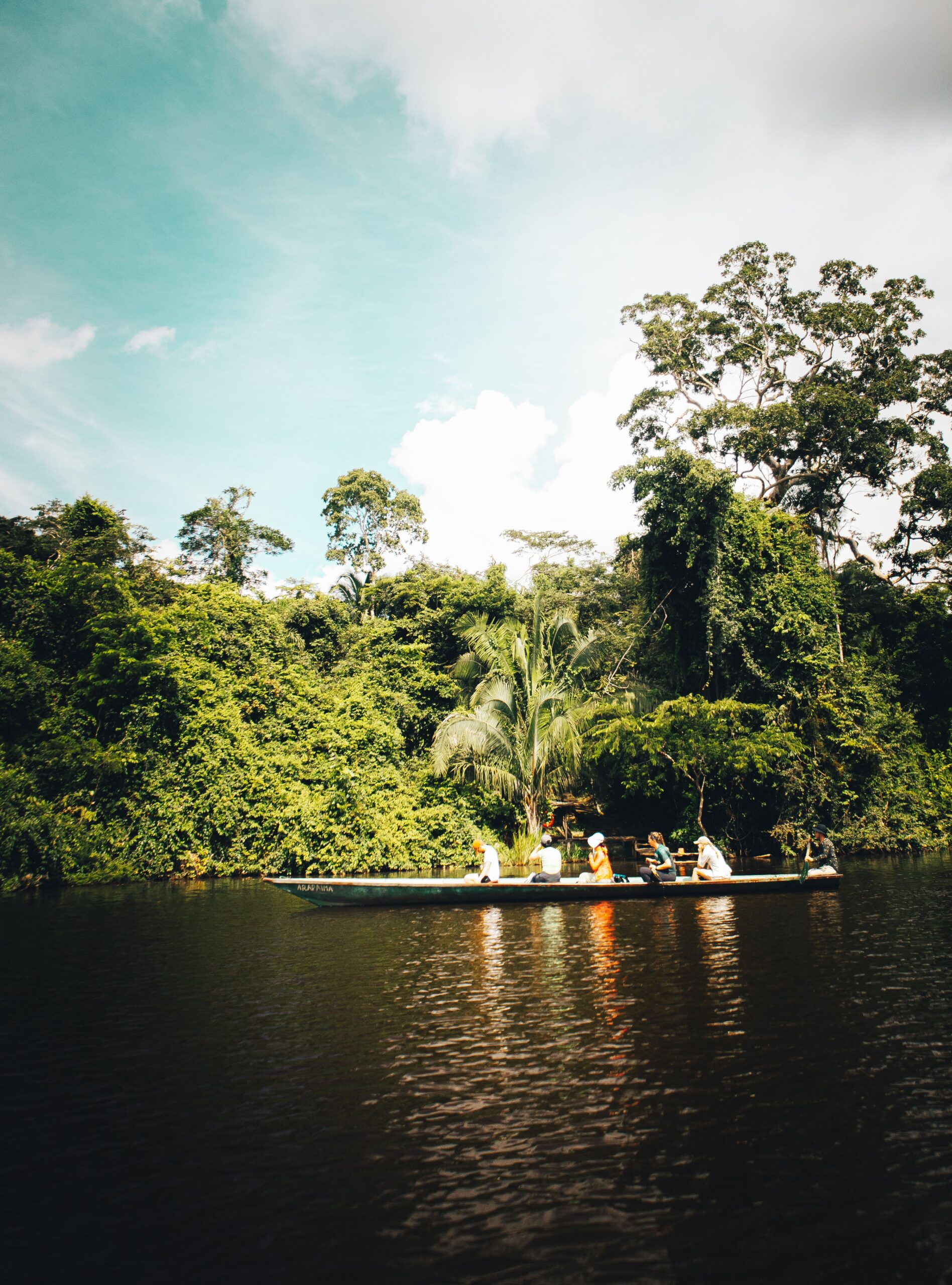 A group enjoys a serene boat ride along a river in a lush tropical jungle under a bright sky.